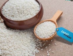 5 Keutamaan Membayar Zakat Fitrah