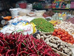 Jelang Idul Adha, Mendag Tinjau Harga Bapok di Bengkulu