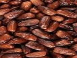 Cegah Penyakit Kronis dengan Kurma