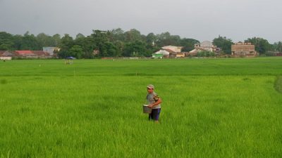 Potensi Pertanian sebagai Pilar Ekonomi Indonesia