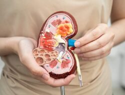 Cara Menjaga Kesehatan Ginjal Saat Puasa