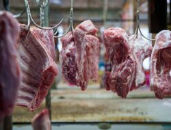 Harga Daging Sapi Naik Jelang Iduladha 2026