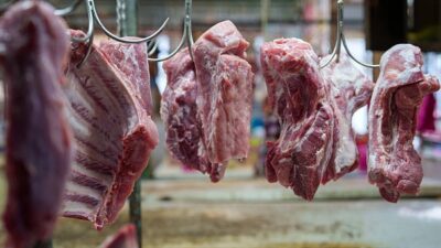 Harga Daging Sapi Naik Jelang Iduladha 2026