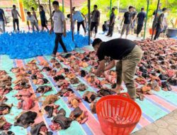 Bolehkan Daging Kurban Dikirim ke Gaza?