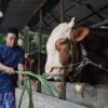 Masjid Istiqlal Tak Membagikan Langsung Daging Hewan Kurban