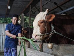 Daftar Harga Hewan Kurban 2026 di Masjid Istiqlal