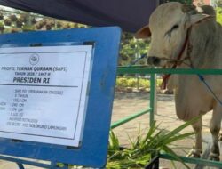 Pejabat Negara Kurban Pakai Dana APBN, Sah atau Tidak?