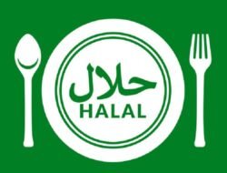 Pedagang Seblak Gugat Aturan Sertifikasi Halal ke MK